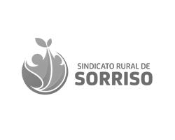 Sindicato