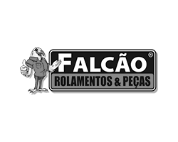 Falcão Rolamentos